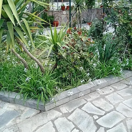 Thoma-is アパート *