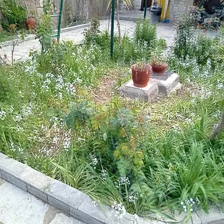 Thoma-is Appartement *