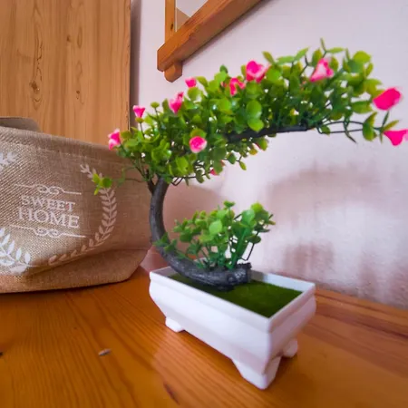 Thoma-is Appartement *