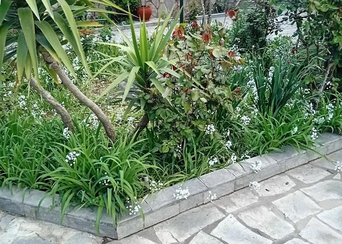 Thoma-is Апартаменты *