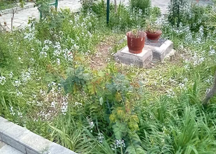 Thoma-is Апартаменты *