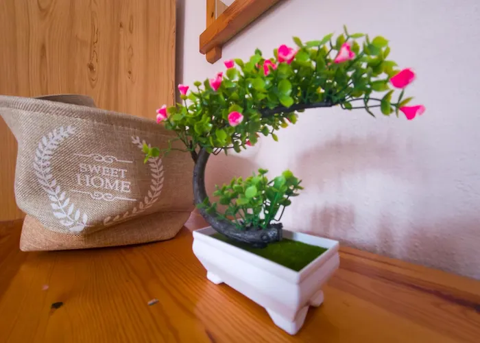 Thoma-is Апартаменты *